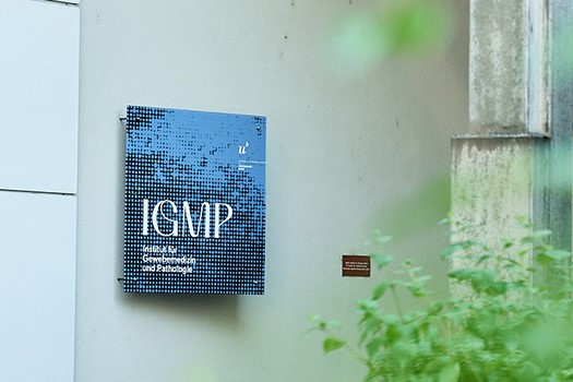 Gebäude des IGMP