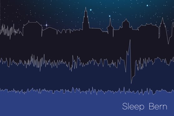 Logo Sleep Bern