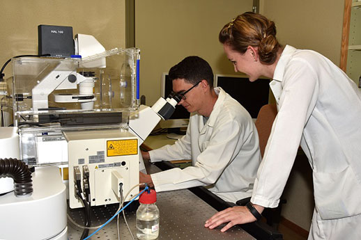 Master Biomedical Sciences