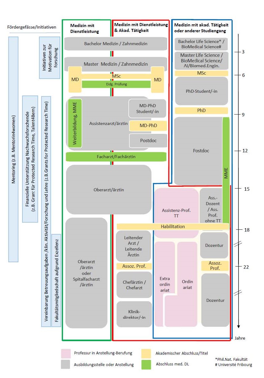 Diagramm zur akademischen Laufbahn und den Fördergefässen